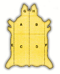 leather terminology glossary