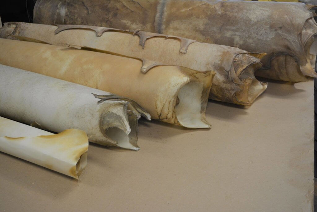 Types of Rawhide Leather Hides